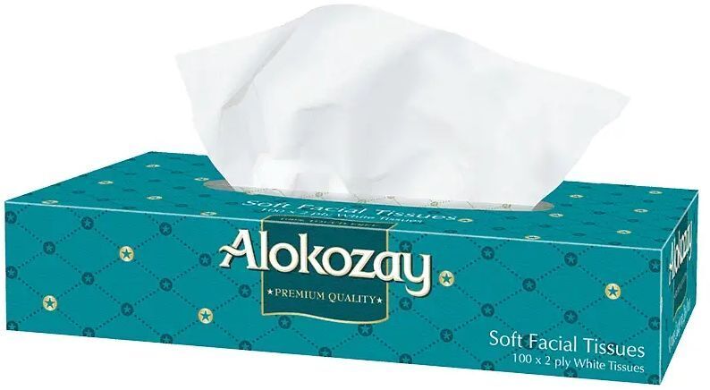 Салфетки косметические Alokozay 2 слоя 100 шт. (5904825069516) фото1