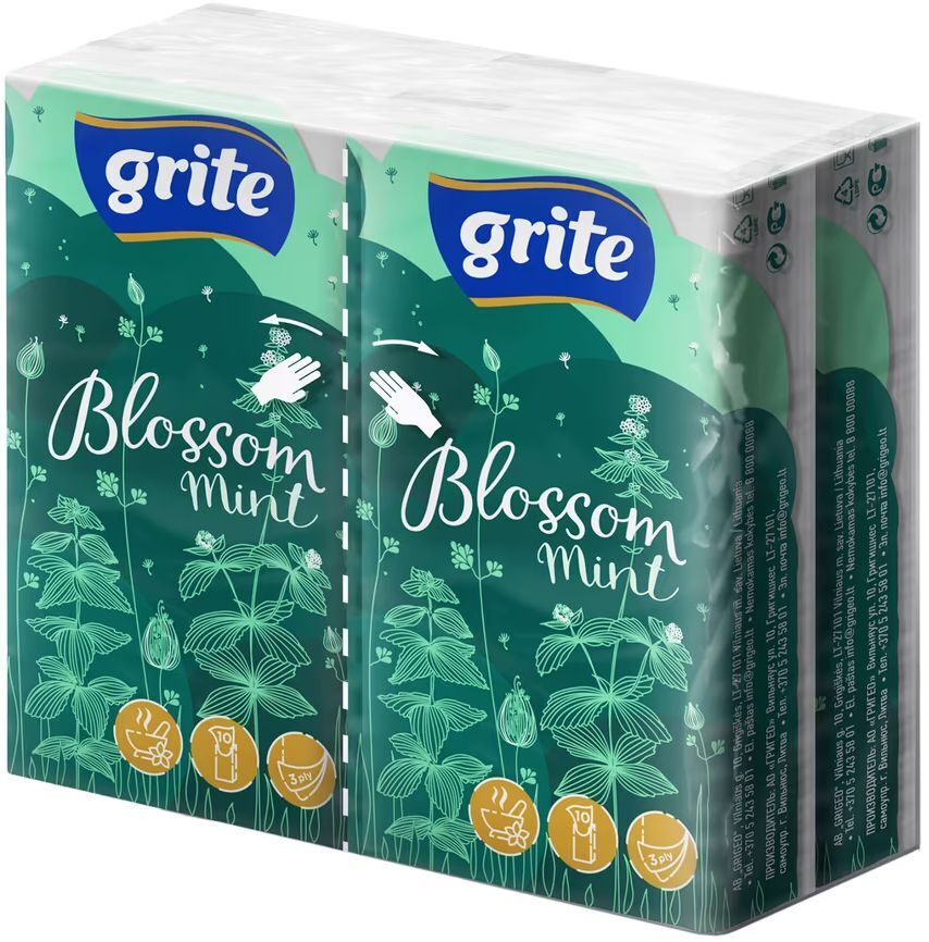 Салфетки косметические Grite Blossom Mint 3 слоя 10 шт х 4 пачки (4770023349146) фото1