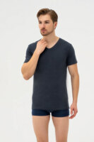Футболка чоловіча Cornette Authentic 201 NEW M графітова