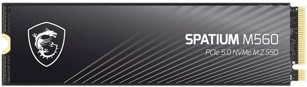SSD накопитель MSI Spatium M560 1TB M.2 (S78-440L0F0-P83) фото1