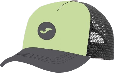 Кепка чоловіча JOMA Cap 400870.940 SR лаймова фото