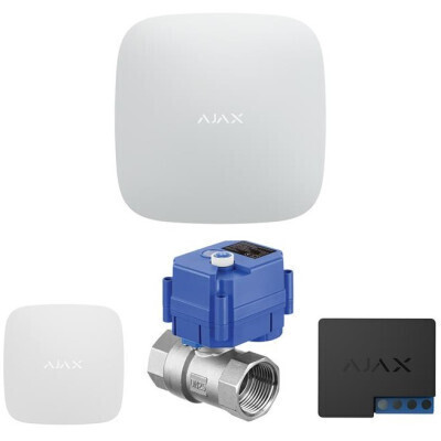 Комплект охоронної сигналізації Ajax (AHWL2E1.2220V) фото1