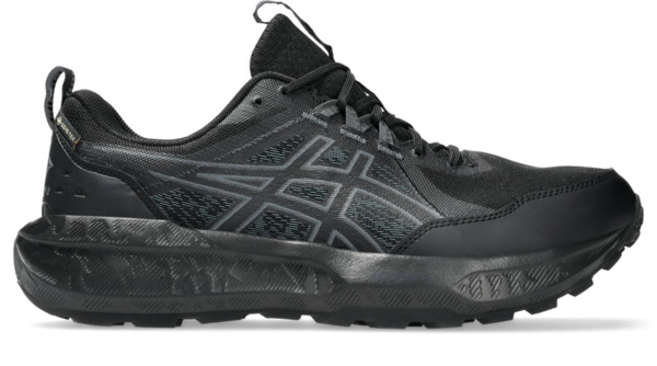 Кросівки чоловічі Asics Gel-Sonoma 8 GTX 1011B977-002 48 (13 US) чорні фото