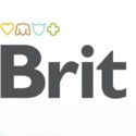 Вологий корм для собак Brit